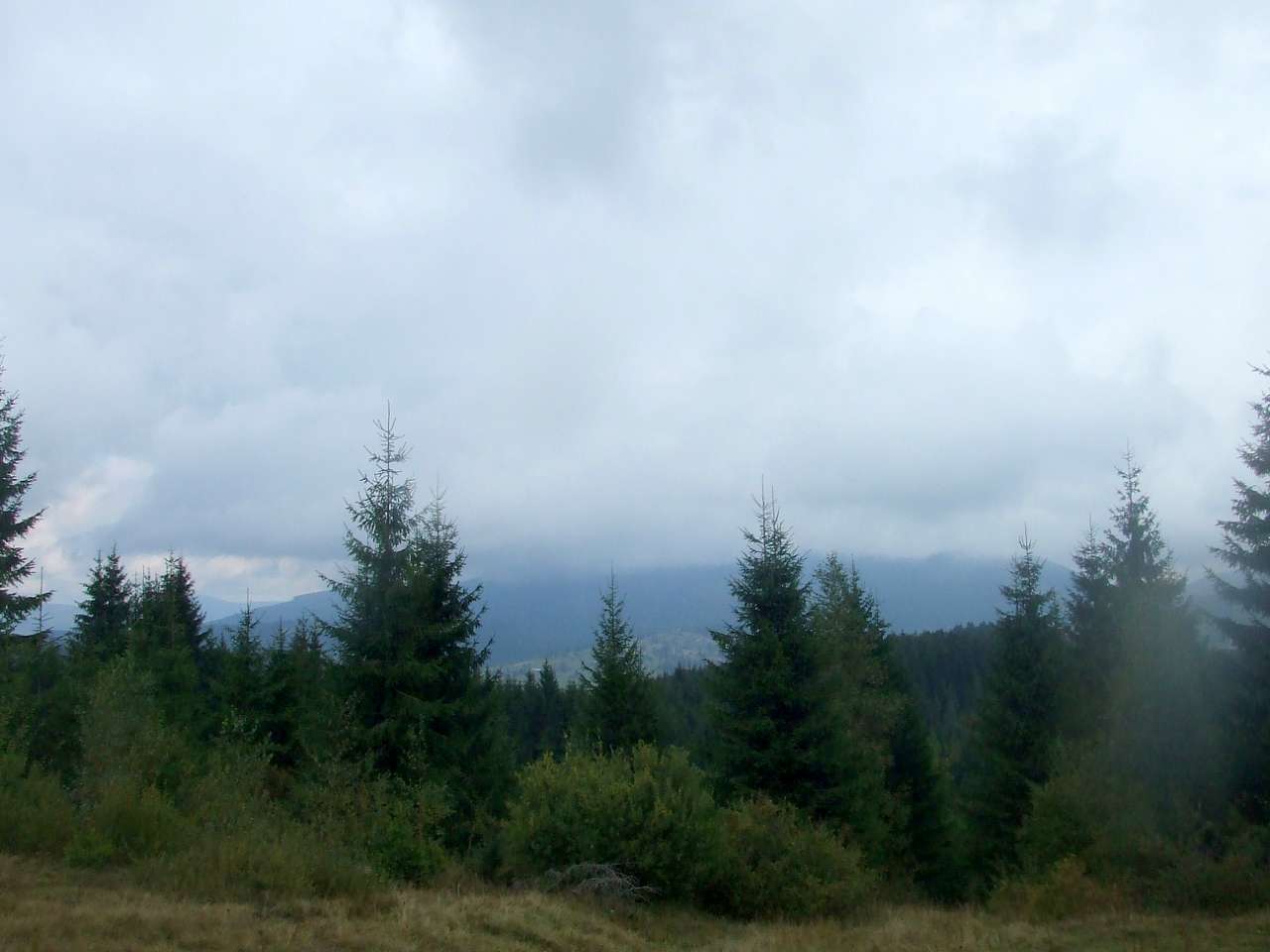 Краєвид - Вышков