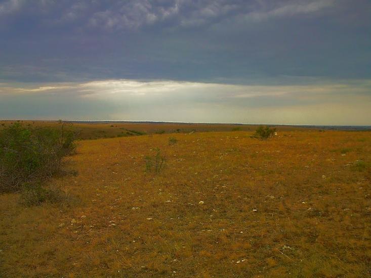 Каштани з panoramio.com - Каштани