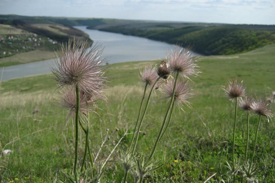 Яруга з panoramio.com - Яруга