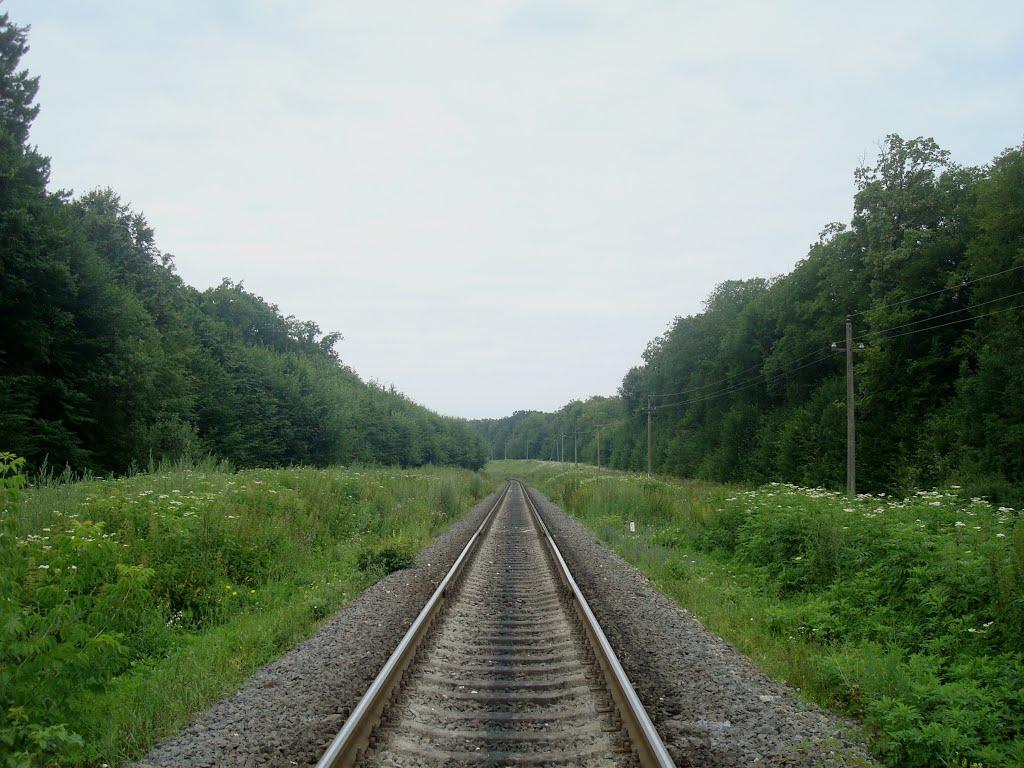 Сахкамінь з panoramio.com - Сахкамень