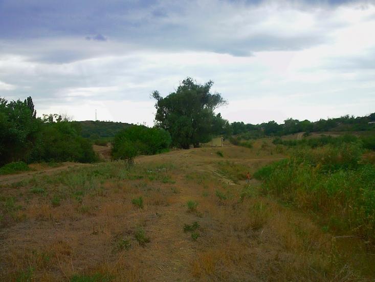 Шевченкове з panoramio.com - Шевченково