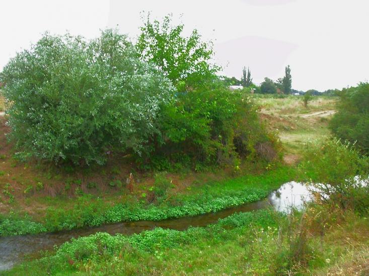 Шевченкове з panoramio.com - Шевченково