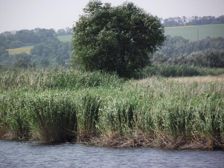 Озерне з panoramio.com - Озерне