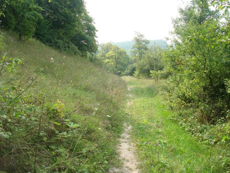 Вільховець з panoramio.com - Ольховец