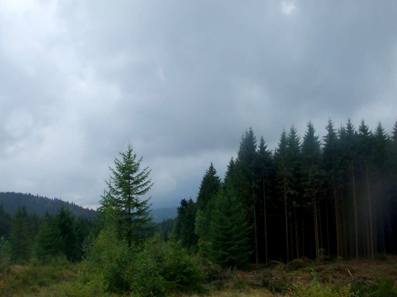 Краєвид - Вышков