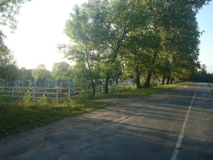 Вільховець з panoramio.com - Vilkhovets