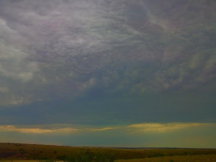 Каштани з panoramio.com - Каштани