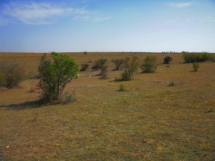 Кочергіне з panoramio.com - Кочергино