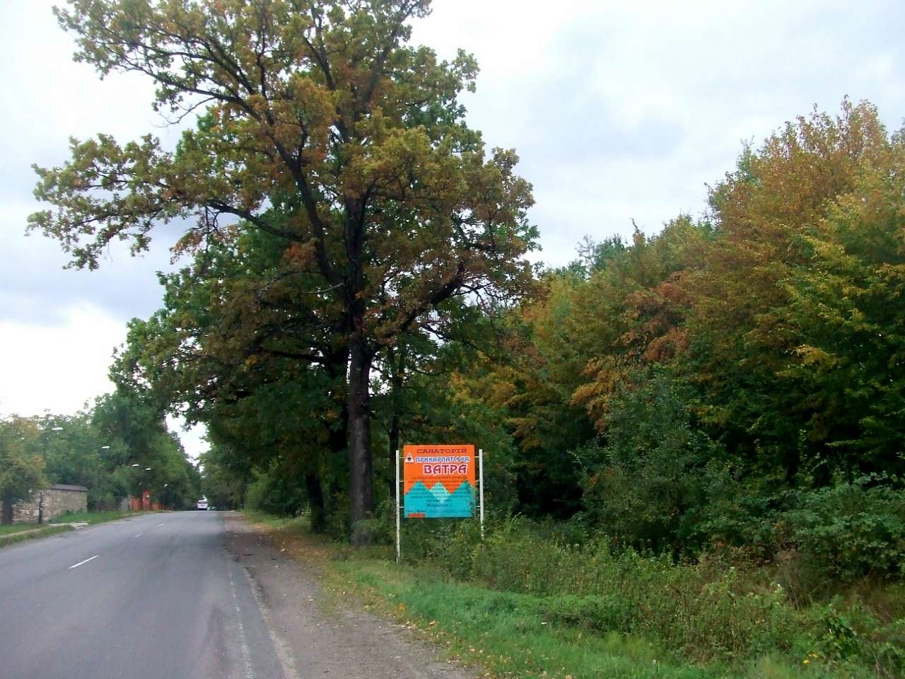 краєвид - Lysovychi