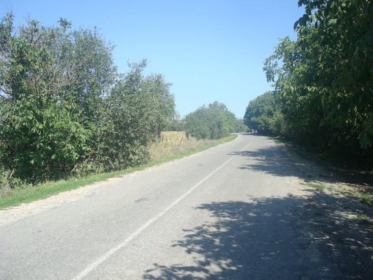Вільховець з panoramio.com - Ольховец