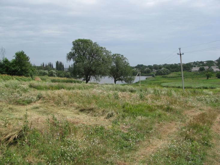 Кринички з panoramio.com - Кринички