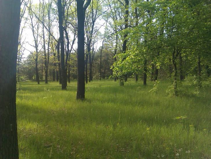 Селище з panoramio.com