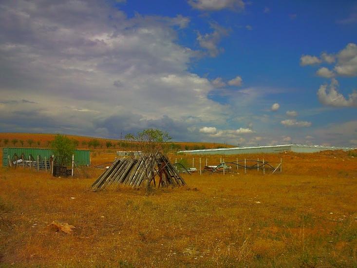 Шевченкове з panoramio.com - Шевченково