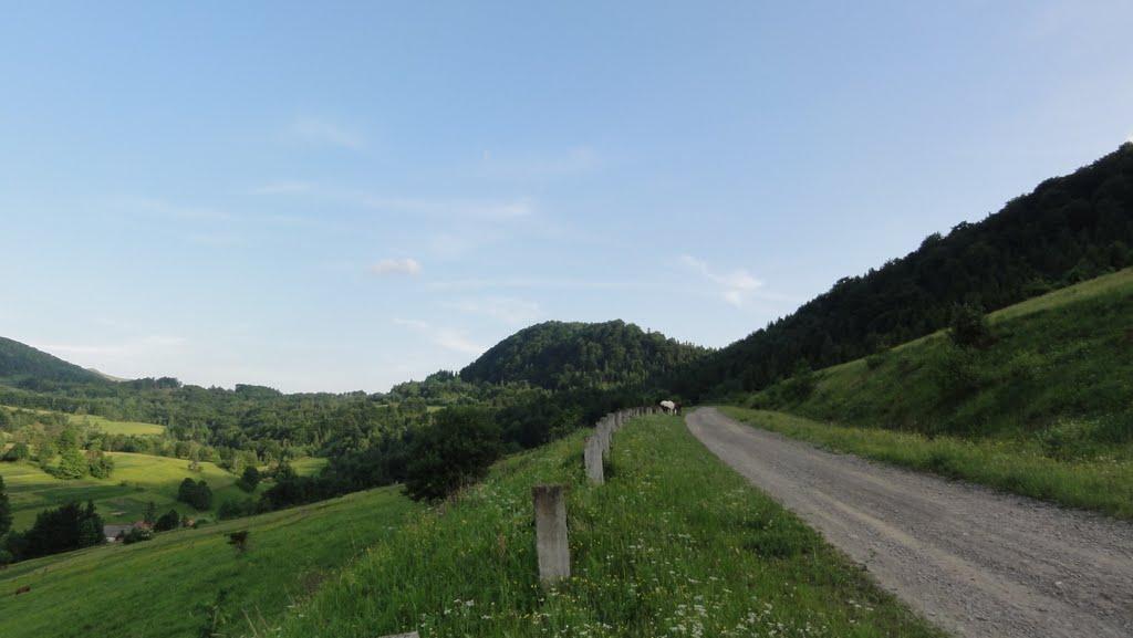 Гусний з panoramio.com - Гусний