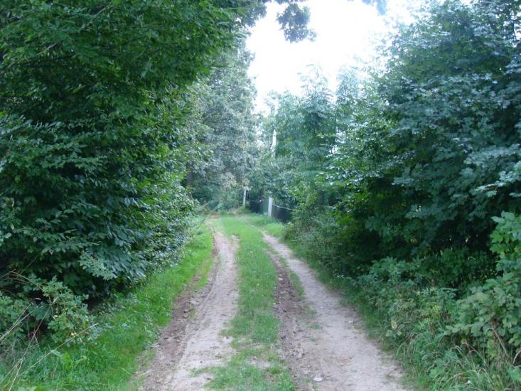 Вільховець з panoramio.com - Ольховец