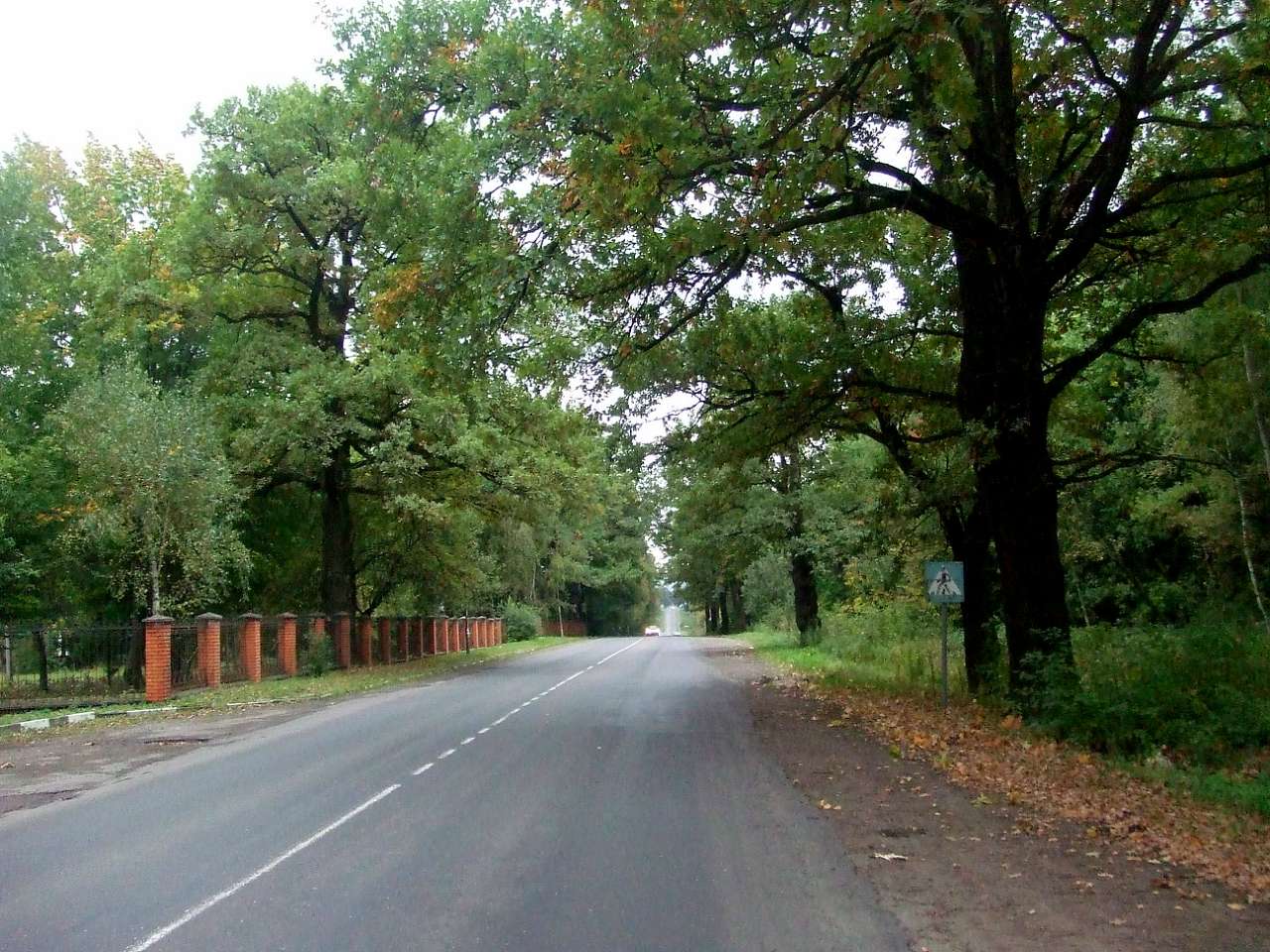 краєвид - Lysovychi