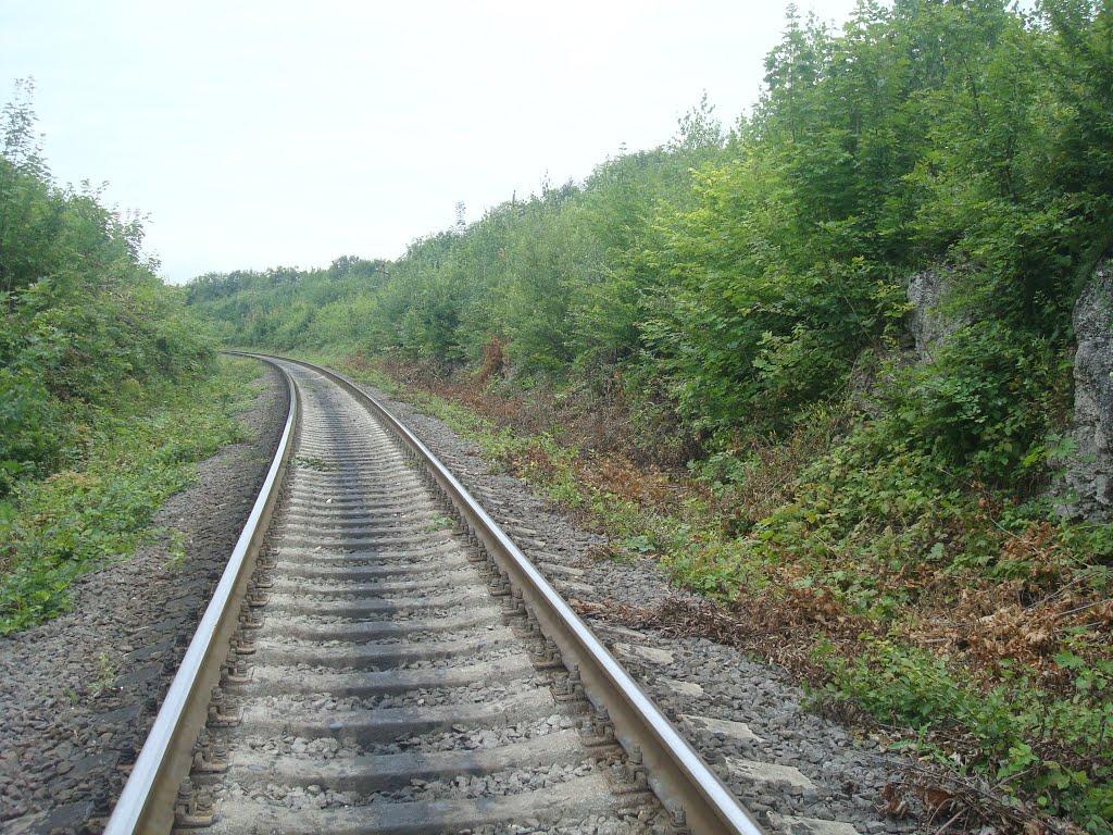 Сахкамінь з panoramio.com - Сахкамень