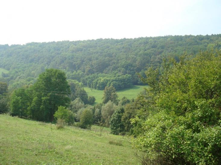 Маціорськ з panoramio.com - Мациорск