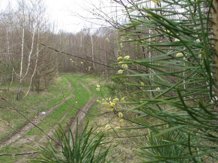 Гавареччина з panoramio.com - Гавареччина