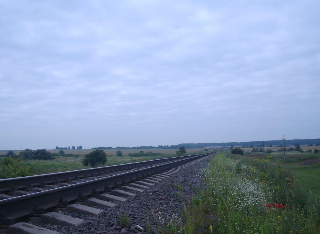 Стара Гута з panoramio.com - Старая Гута