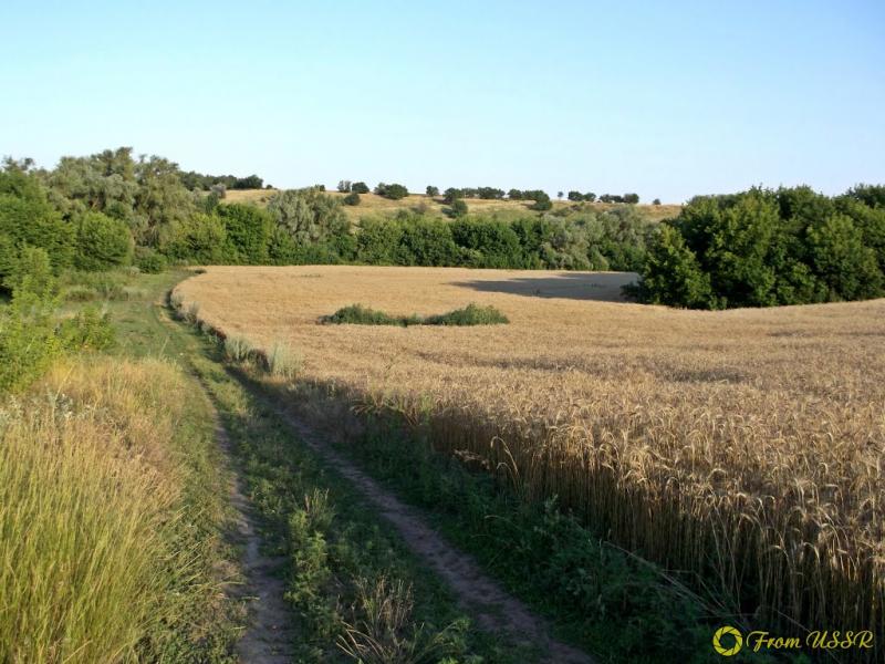 Карнаухівка з panoramio.com - Karnaukhivka