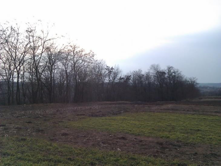 Селище з panoramio.com