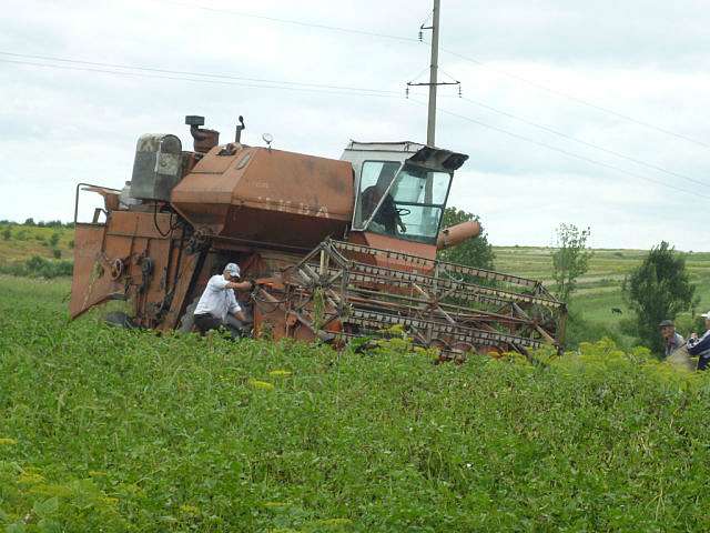 Рідне село - Хлиплі