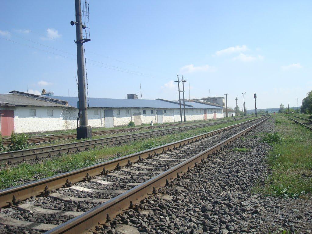 Стара Гута з panoramio.com - Старая Гута
