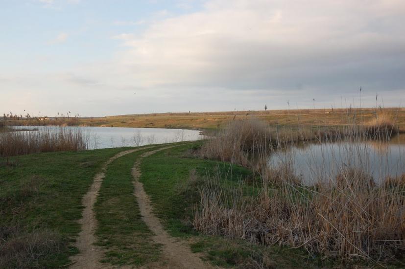 Кочергіне з panoramio.com - Кочергино