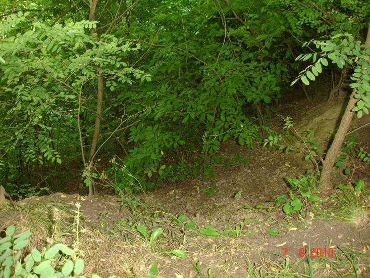 Шишківці з panoramio.com - Шишківці