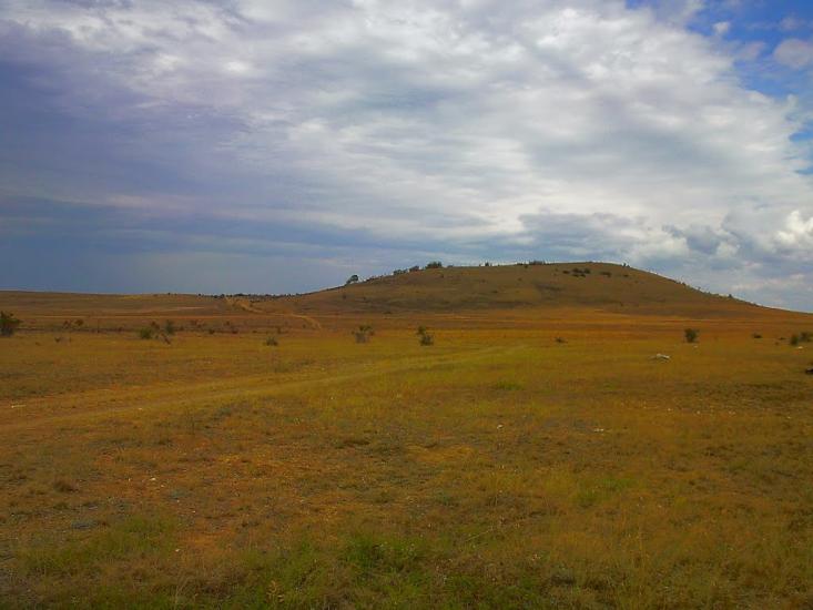 Каштани з panoramio.com - Каштани
