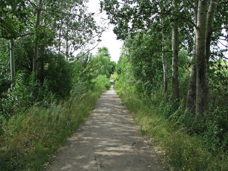 Кринички з panoramio.com - Кринички