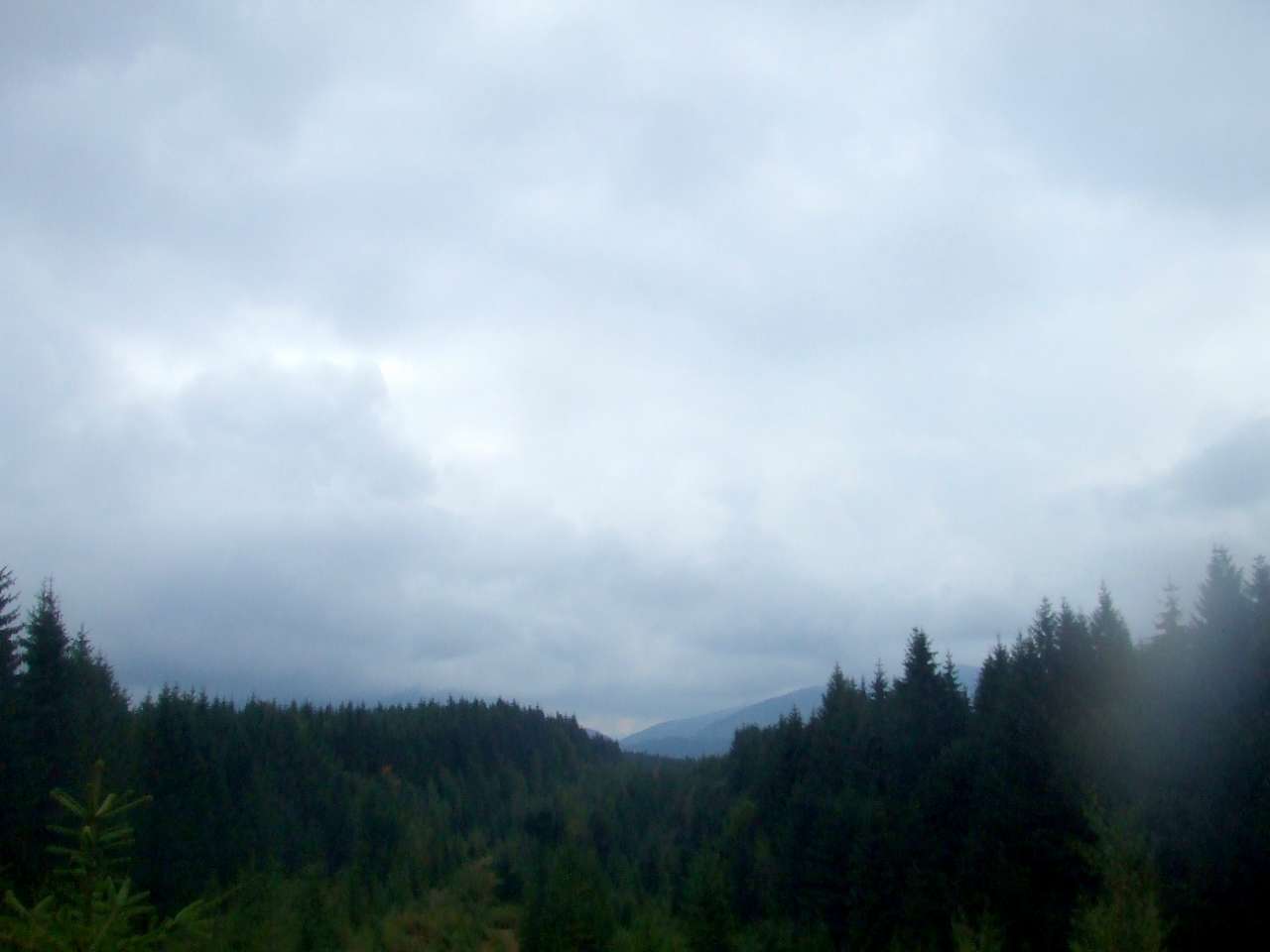 Краєвид - Вышков