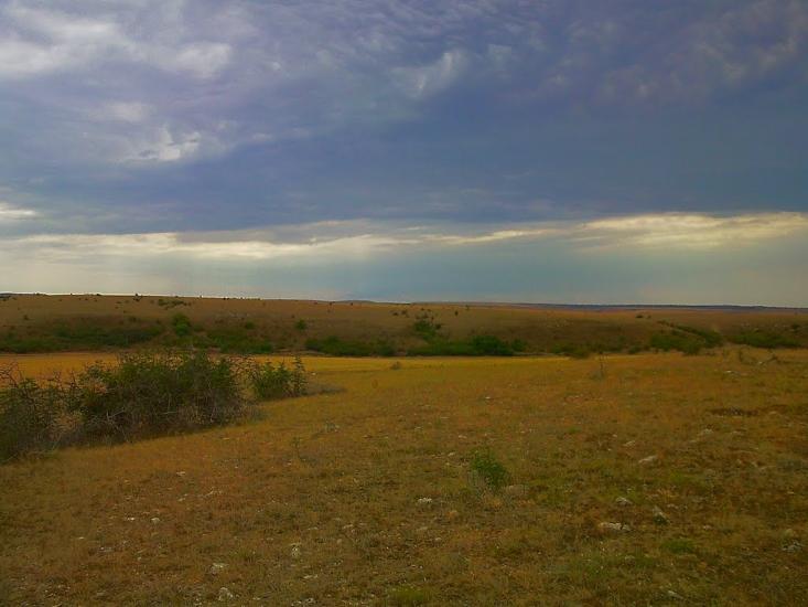Каштани з panoramio.com - Каштани
