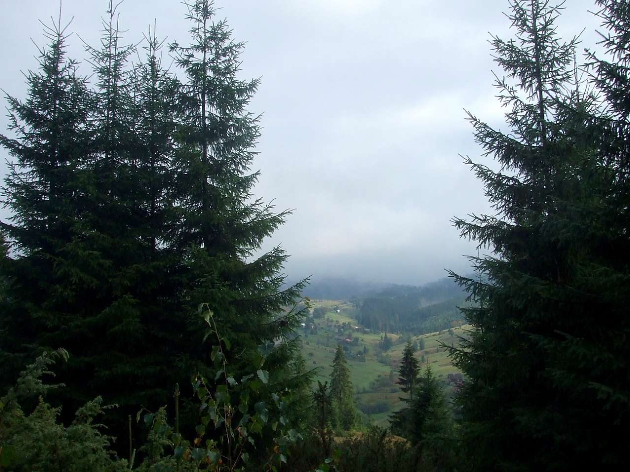 Краєвид - Вишків