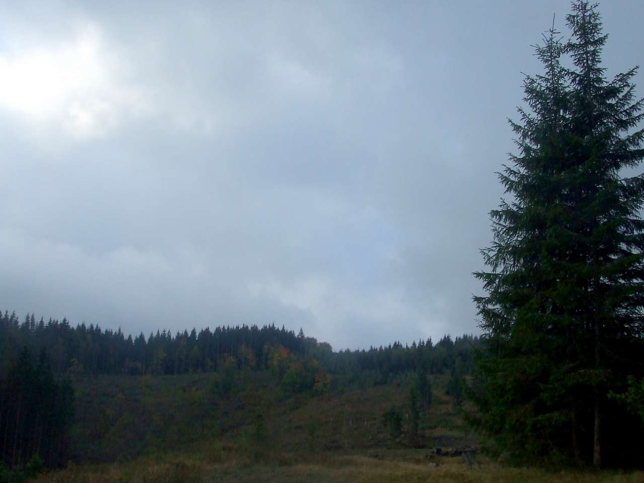 Краєвид - Вишків