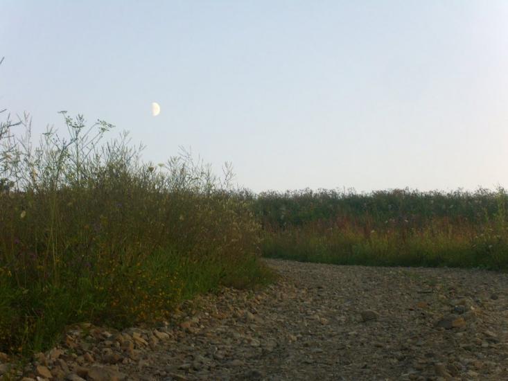 Старий Самбір з panoramio.com - Старый Самбор