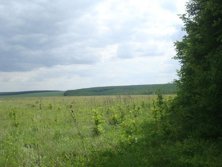 Мала Стружка з panoramio.com - Мала Стружка