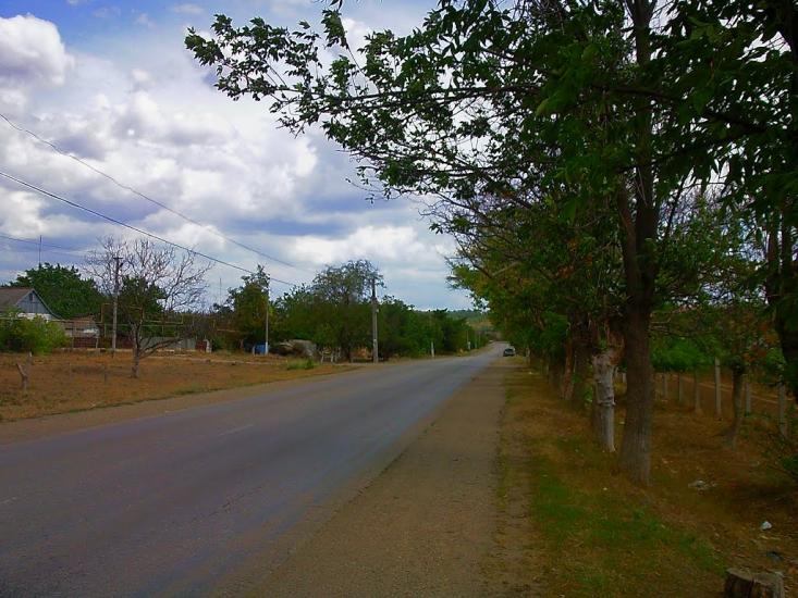 Шевченкове з panoramio.com - Шевченково