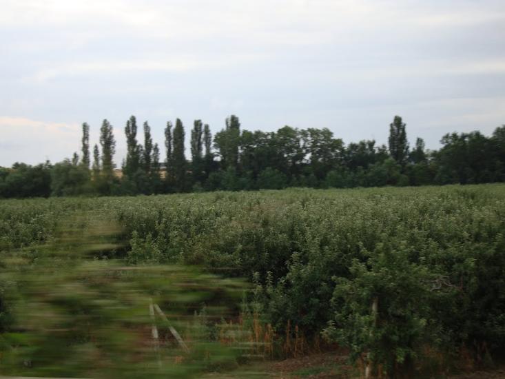Віліне з panoramio.com - Viline