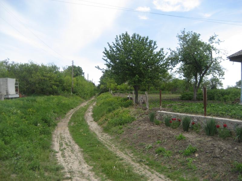 Северинівка - Севериновка