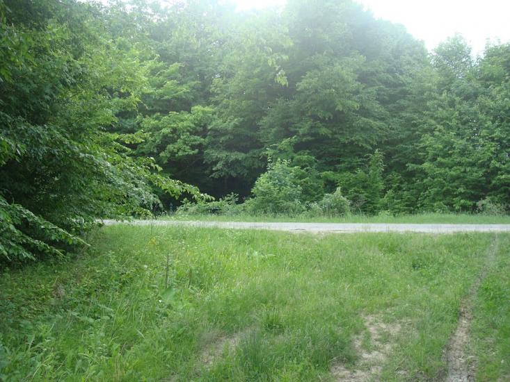 Струга з panoramio.com - Струга