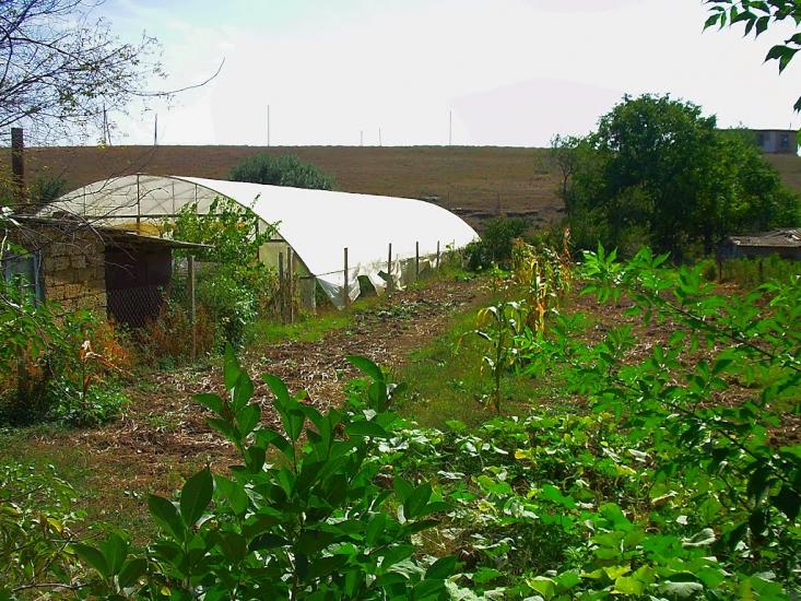 Кочергіне з panoramio.com - Кочергино