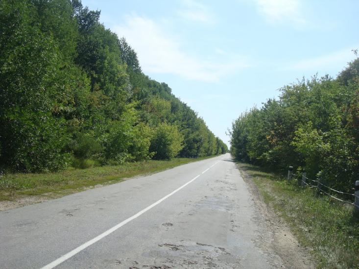 Струга з panoramio.com - Струга