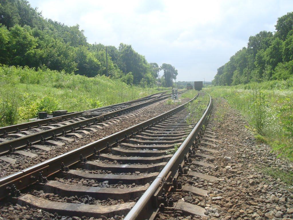 Нігин з panoramio.com - Nigyn