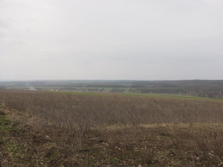 Журавка з panoramio.com