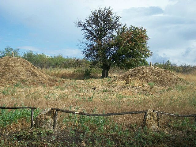 Музей с. Бабино - відкриття 2013.09.05 - Бабино