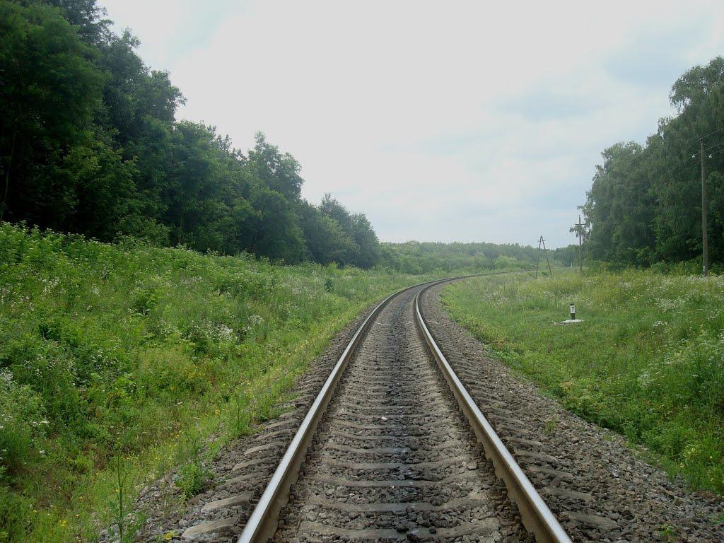 Сахкамінь з panoramio.com - Сахкамень