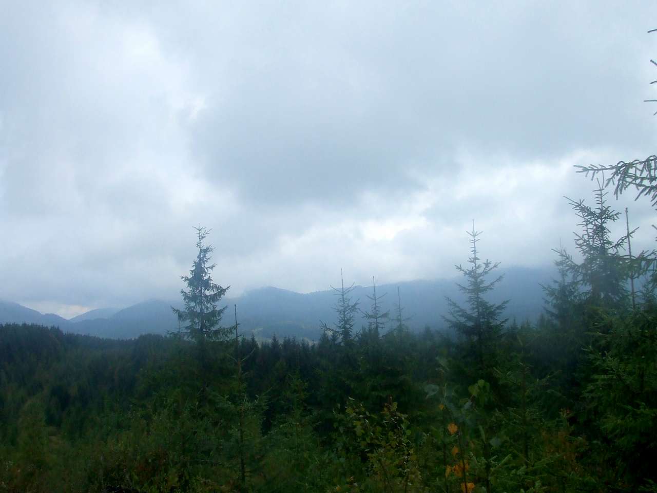 Краєвид - Вышков