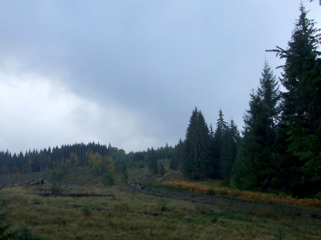 Краєвид - Вишків